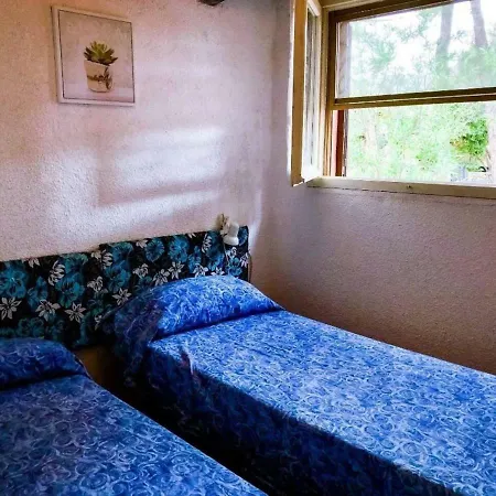 Shardana House